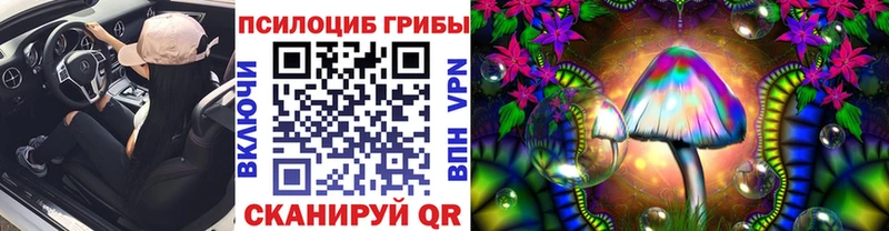 Галлюциногенные грибы мухоморы  мега ТОР  Новая Ладога 